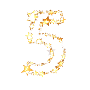 5 Star