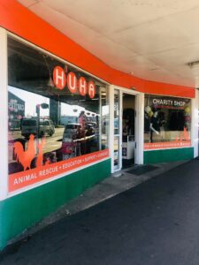 364818665 197967909705445 528660863378223397 n | Op Shops