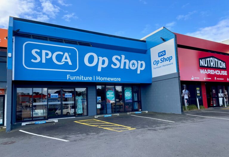 Manukau 768x527